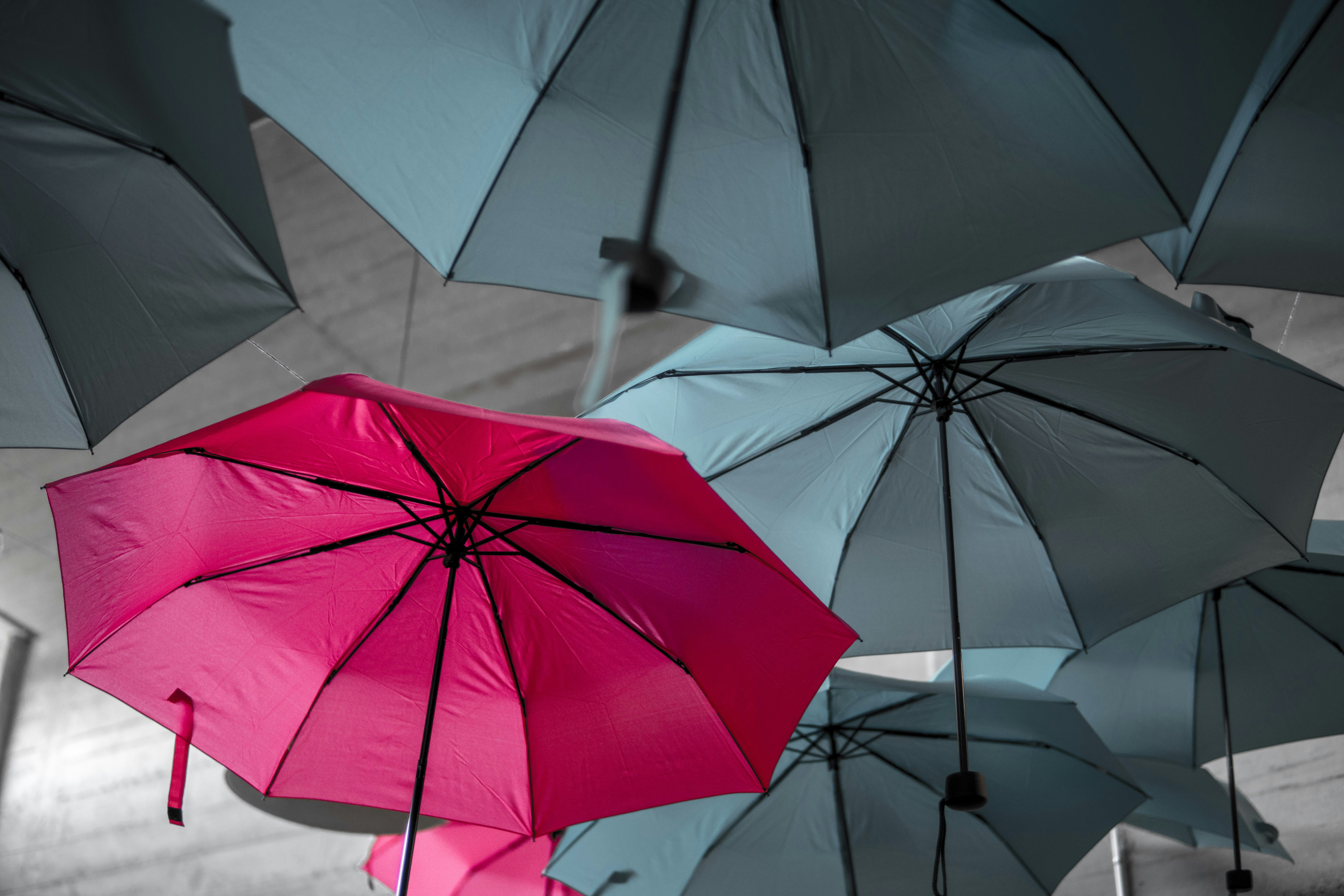 A magenta umbrella among muted umbrellas
